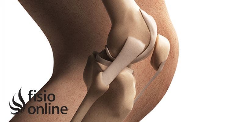 Adelgazamiento del cartilago articular parelar articular